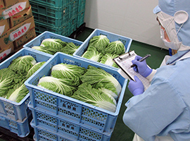 原料搬入・検品